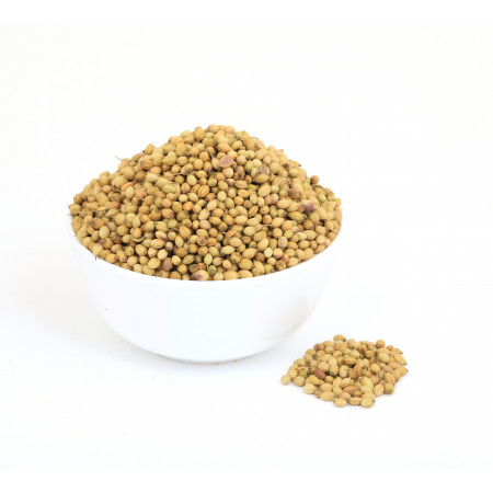 Coriander (Dhaniya) 